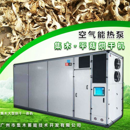 集木源頭廠(chǎng)家 塔城網(wǎng)帶烘干機(jī)技術(shù)解析與咨詢(xún)服務(wù)